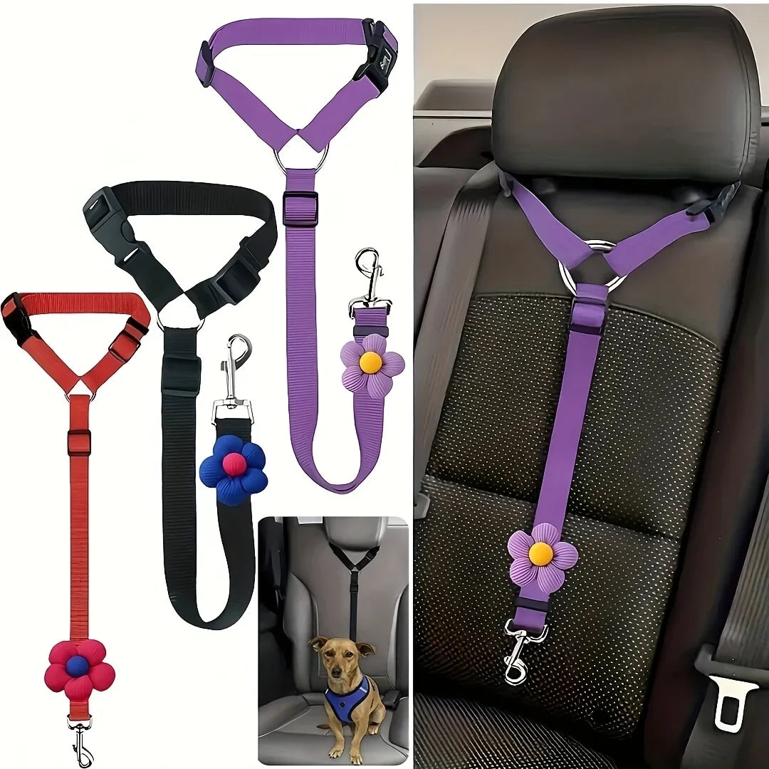 The Pet Travel Essential Every Dog Owner Should Have