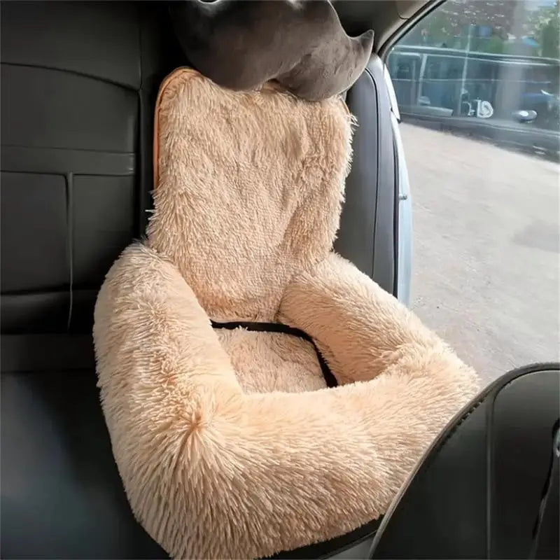 The Safer Way to Travel With Your Dog Starts Here