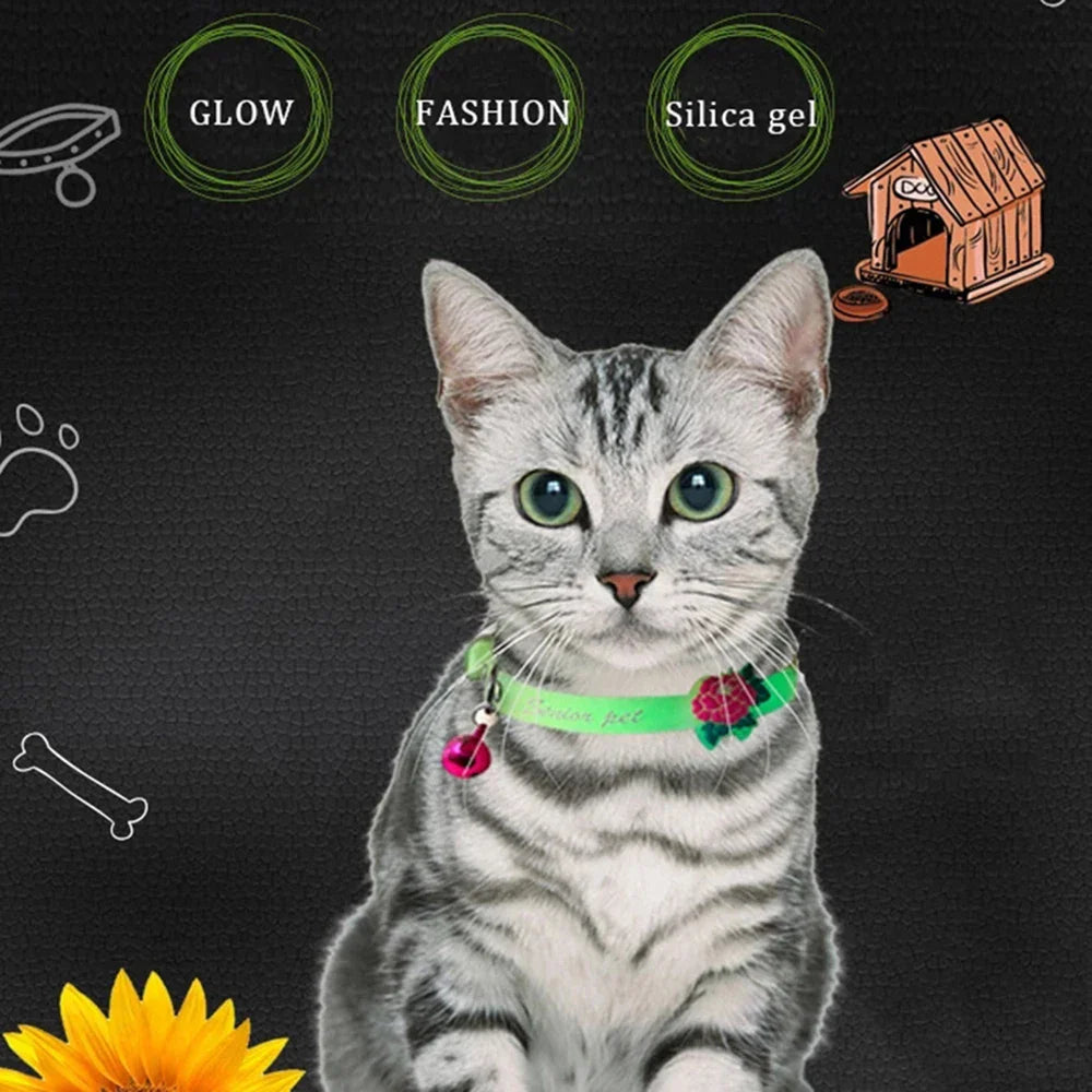 Stop Losing Your Cat in the Dark — This Collar Changes Everything