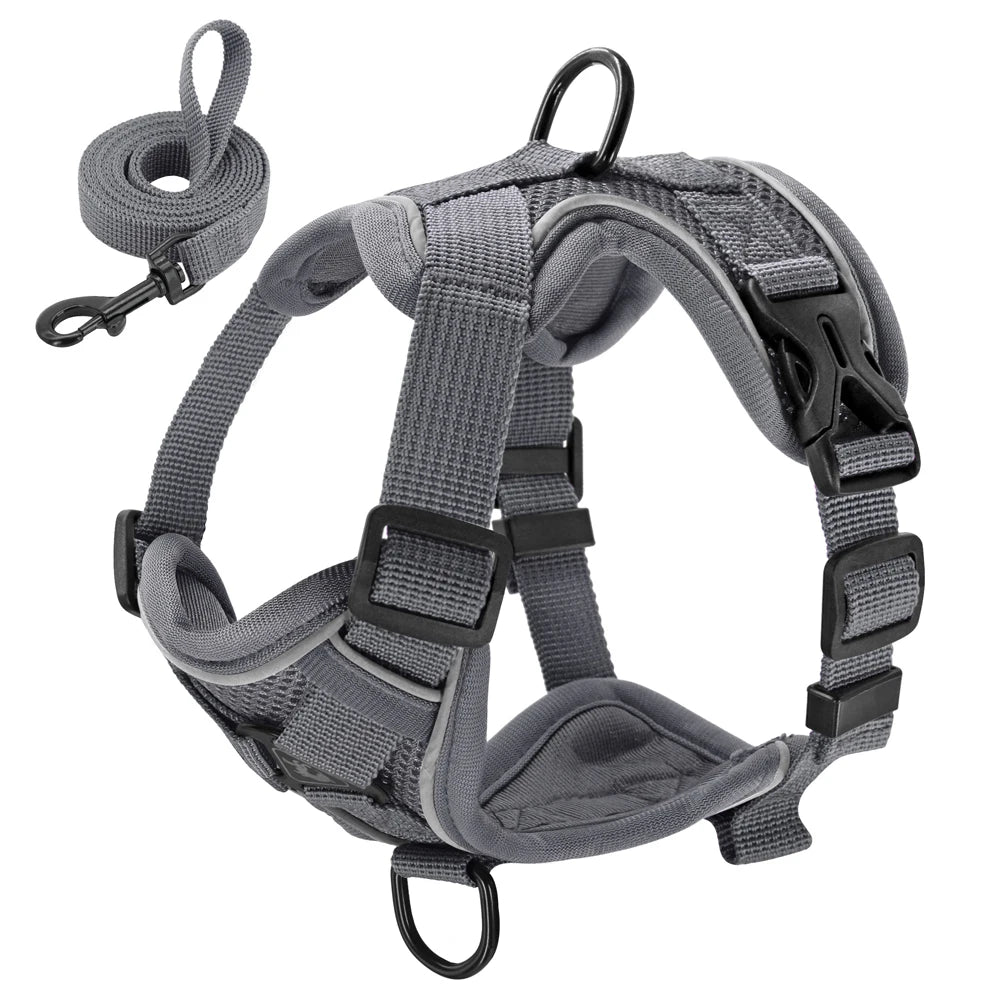 Reflective Mesh Harness & Leash Set