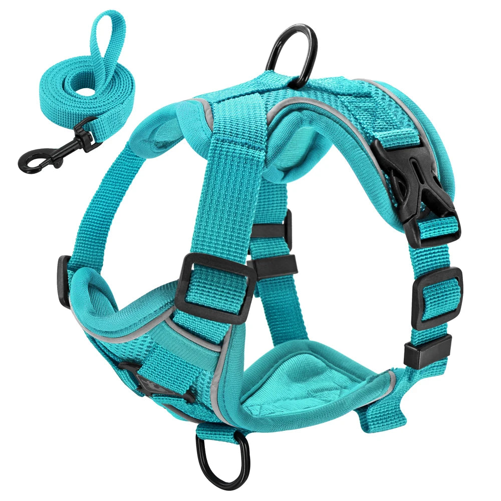 Reflective Mesh Harness & Leash Set