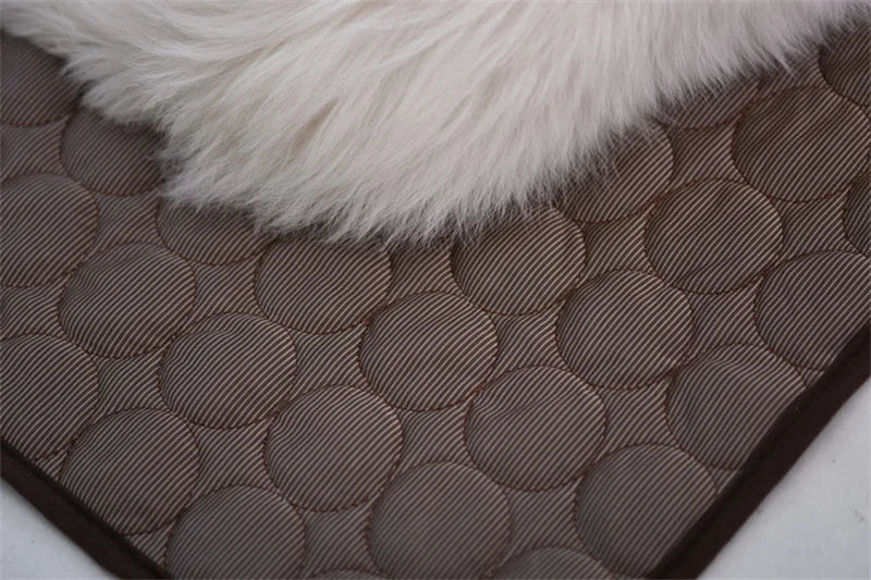 Summer Pet Cooling Mat for Dogs