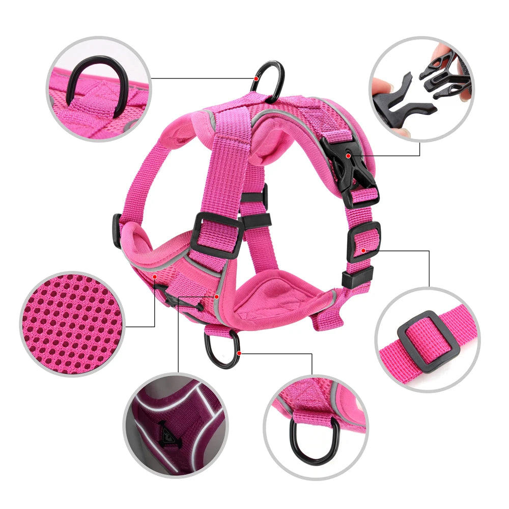 Reflective Mesh Harness & Leash Set