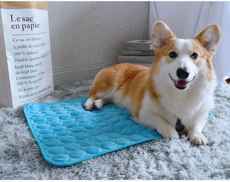 Summer Pet Cooling Mat for Dogs