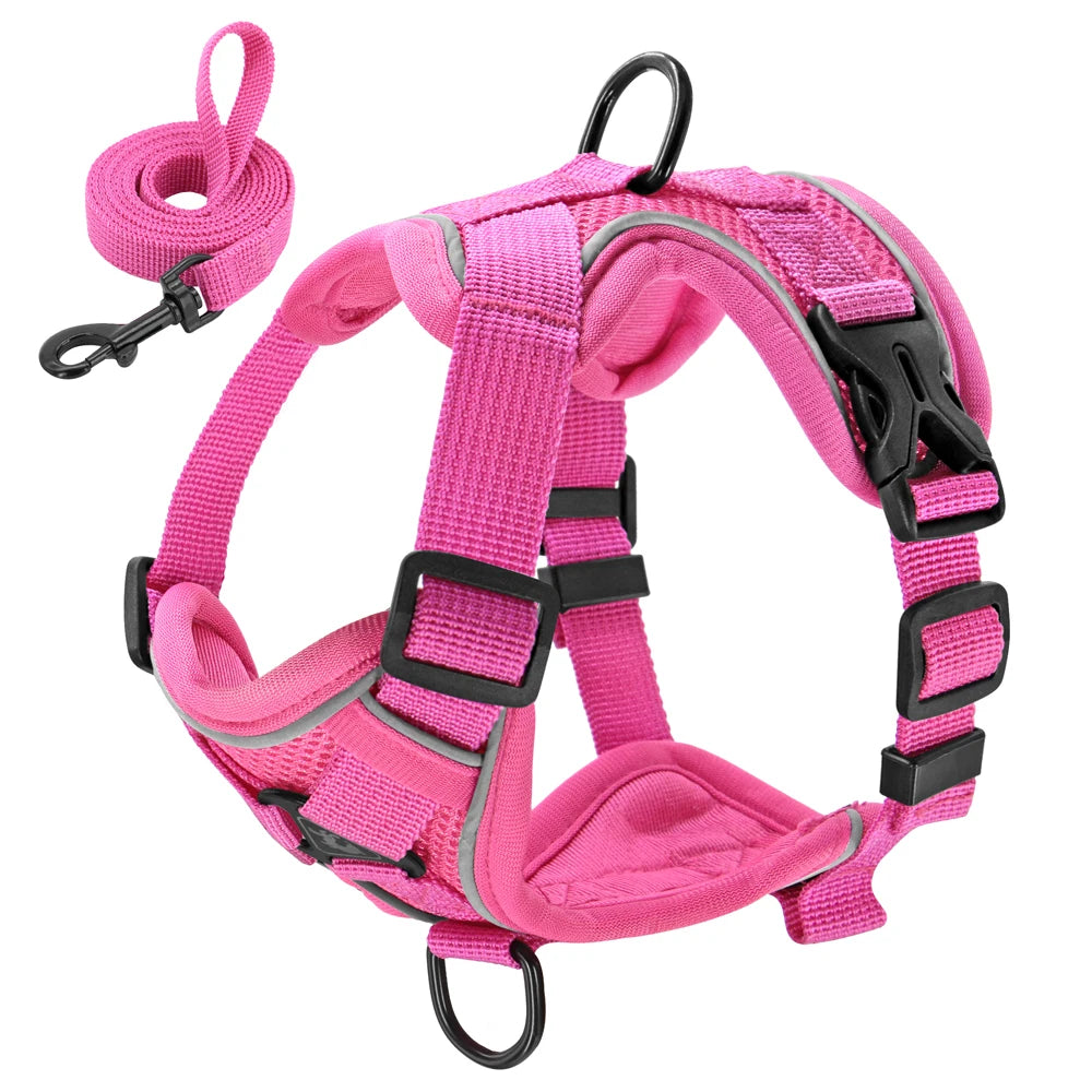 Reflective Mesh Harness & Leash Set