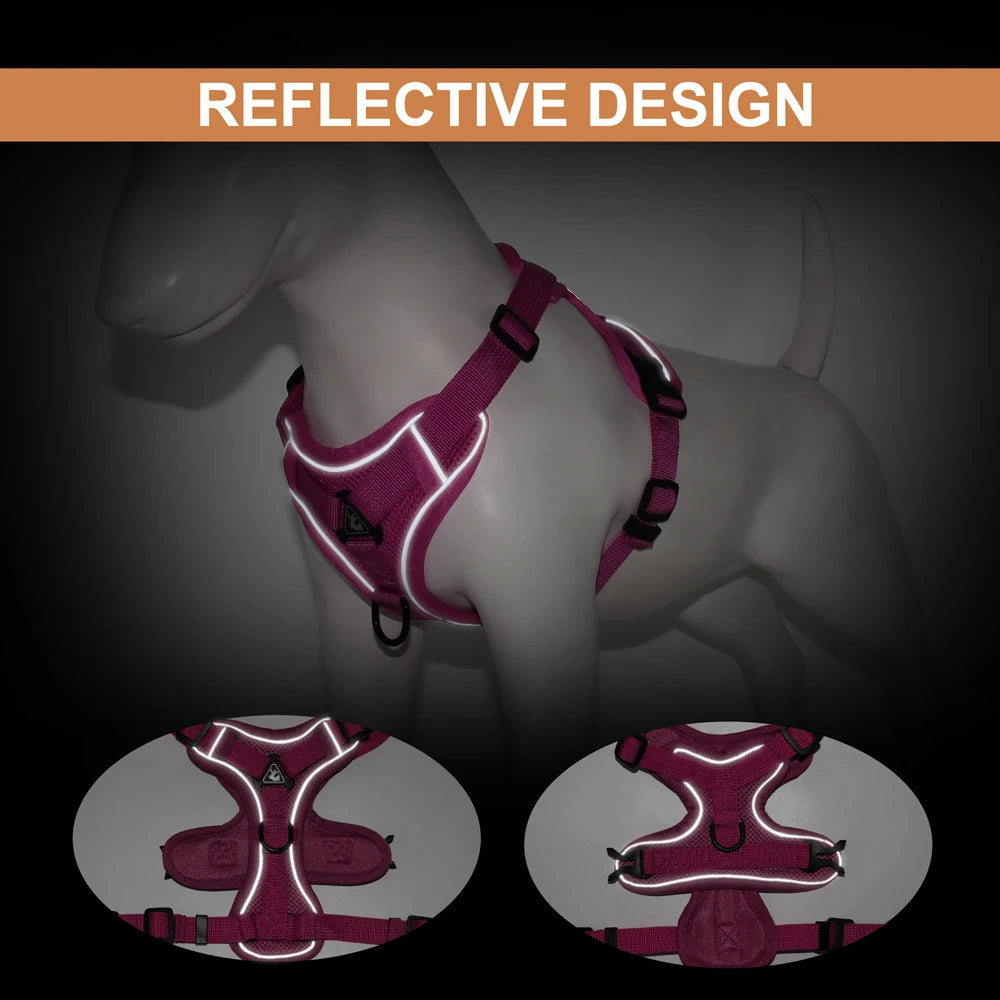 Reflective Mesh Harness & Leash Set