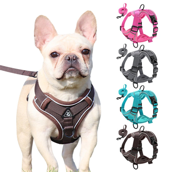 Reflective Mesh Harness & Leash Set
