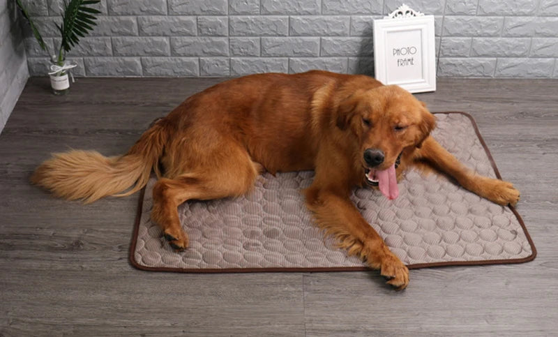 Summer Pet Cooling Mat for Dogs