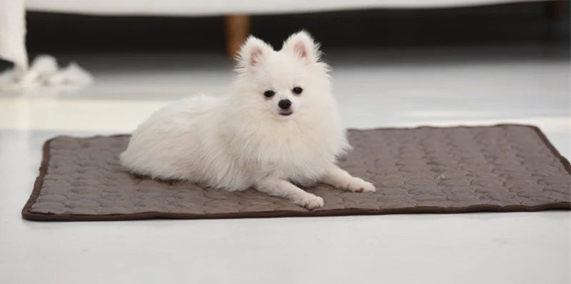 Summer Pet Cooling Mat for Dogs