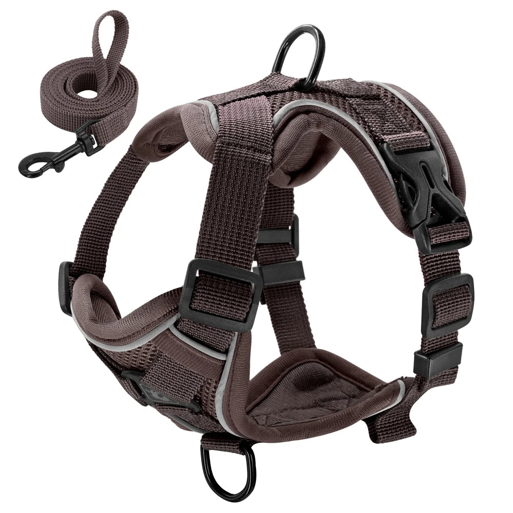Reflective Mesh Harness & Leash Set
