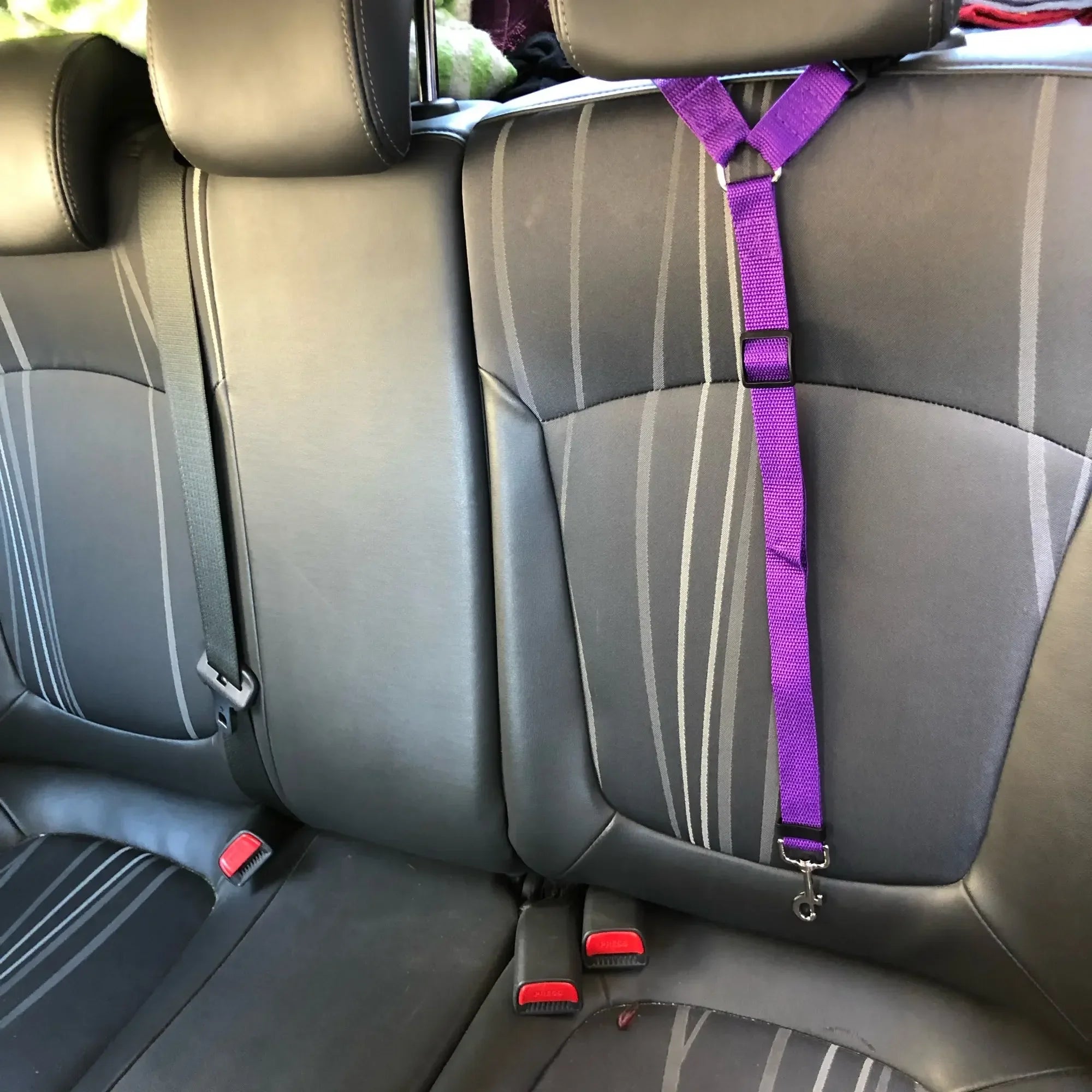 Two-in-One Solid Color Pet Car Seat Belt & Lead