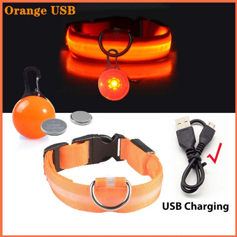 USB Glowing Dog Collar