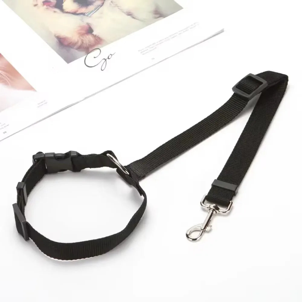 Two-in-One Solid Color Pet Car Seat Belt & Lead