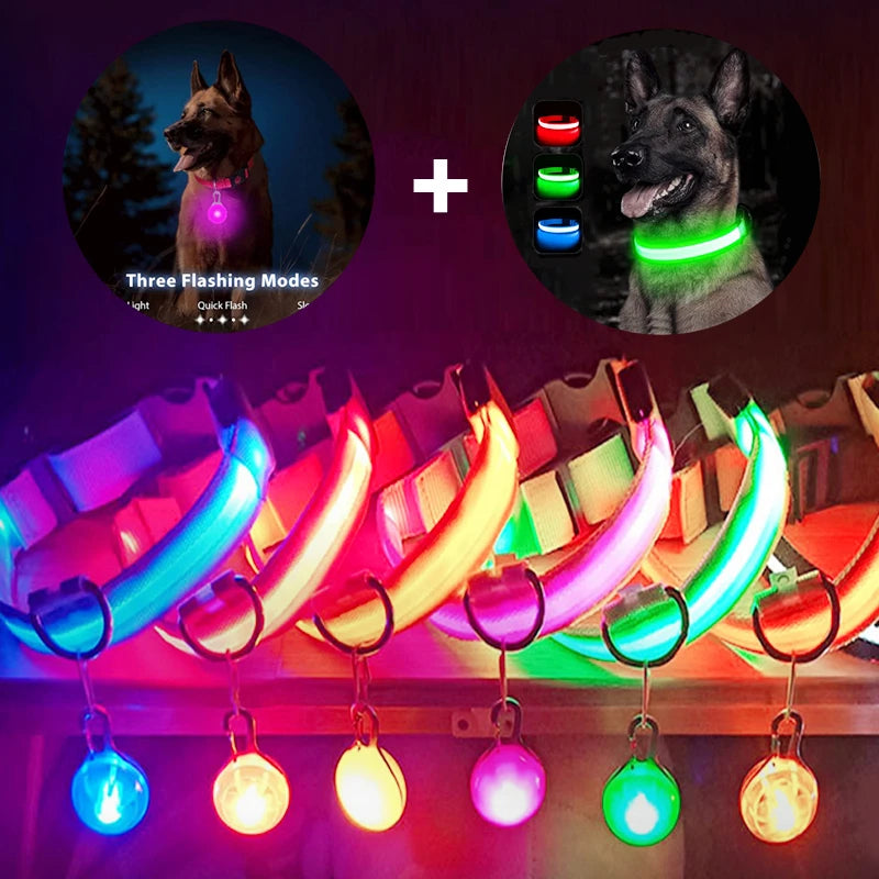 USB Glowing Dog Collar