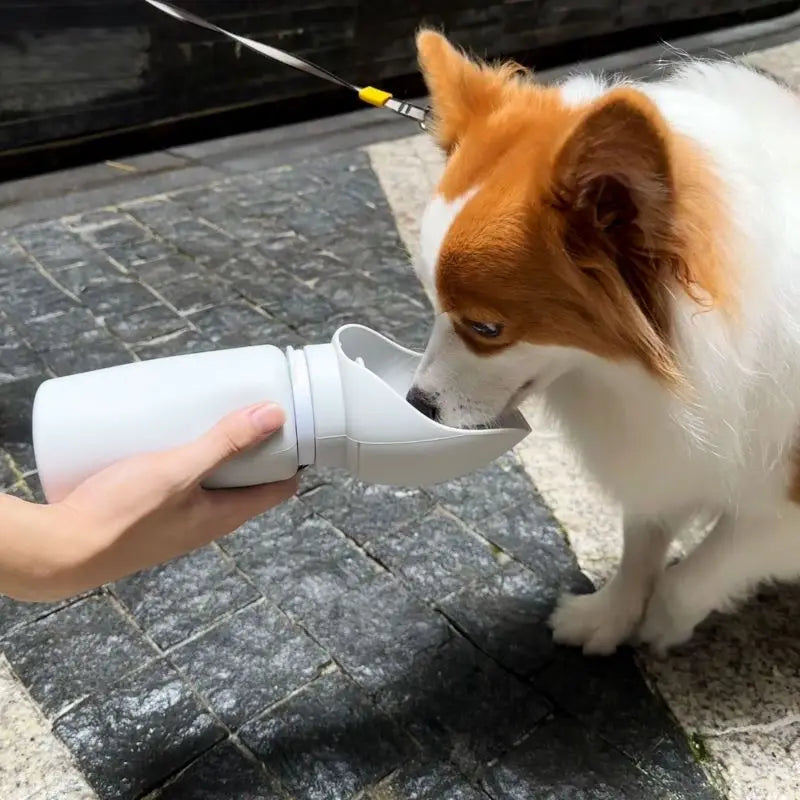 Portable Pet Water Dispenser