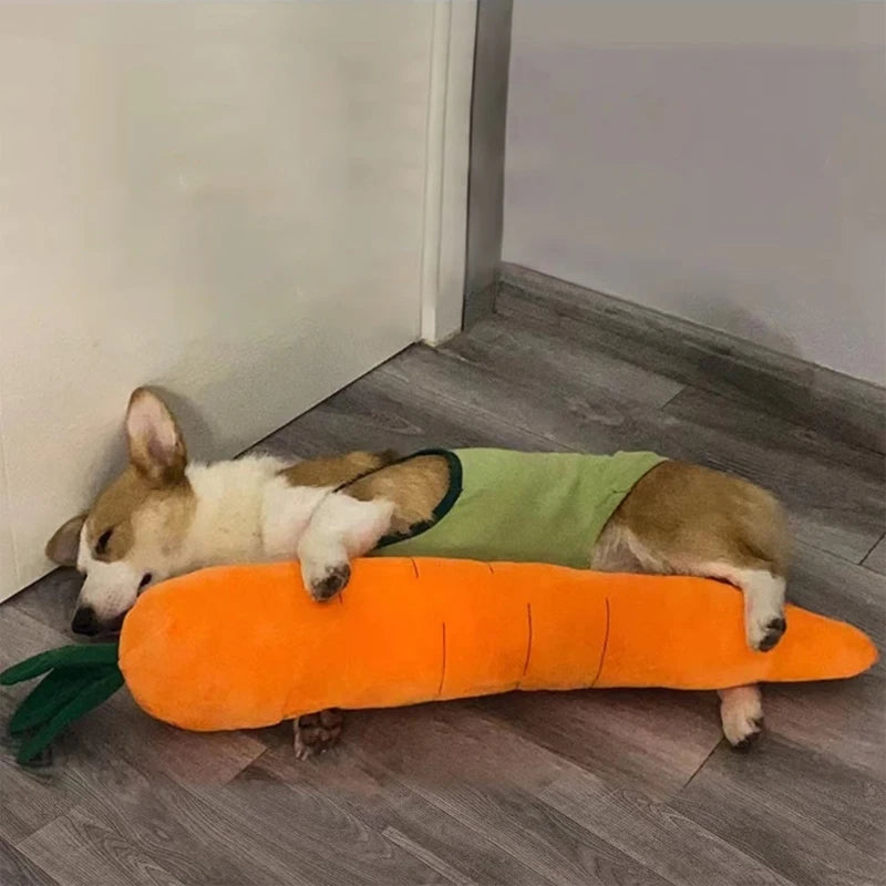Dog Carrot Plush Chew Toy