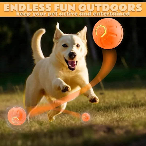Smart Bouncing Electric Pet Ball, Automatic Random Motion Toy, Durable Chew-Resistant for Cats and Dogs