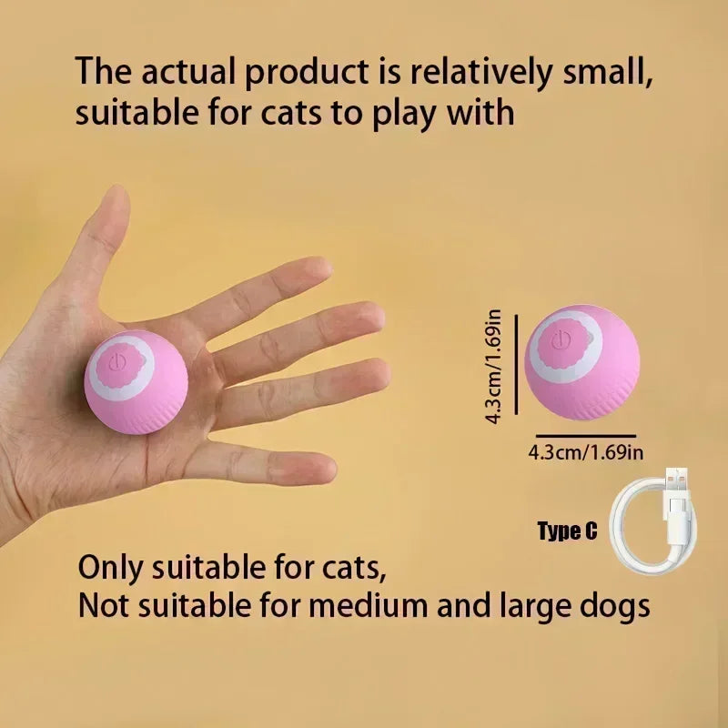 Interactive Cat Rolling Ball Toy