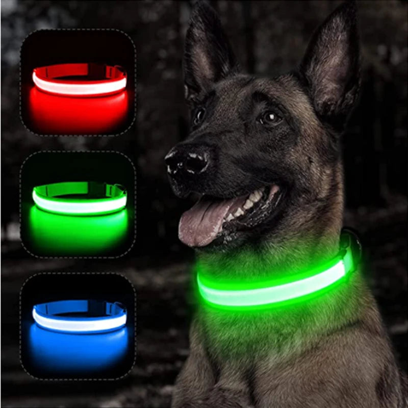 USB Glowing Dog Collar