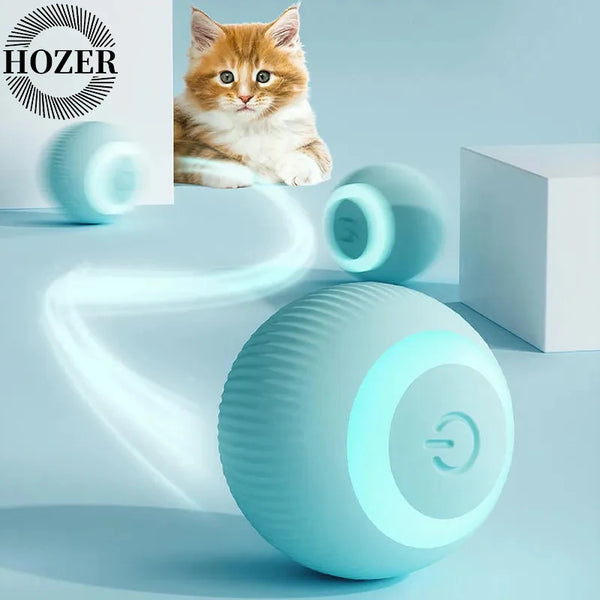 Smart Cat Interactive Ball