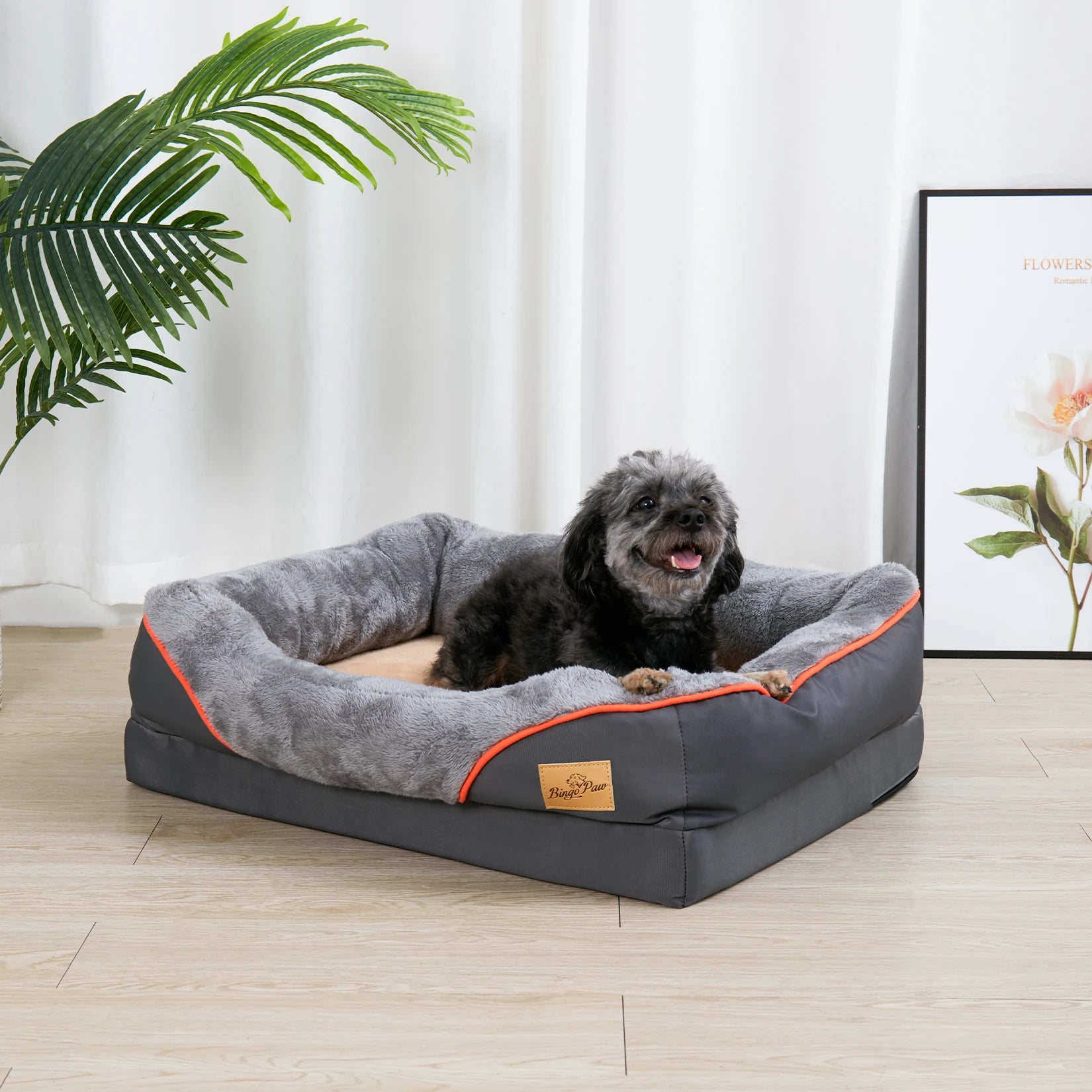 Orthopedic Foam Dog Bed
