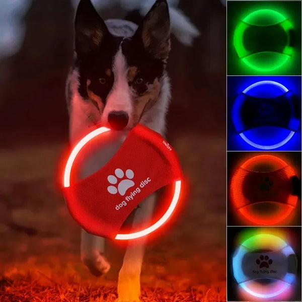 LED Dog Flying Disc Toy