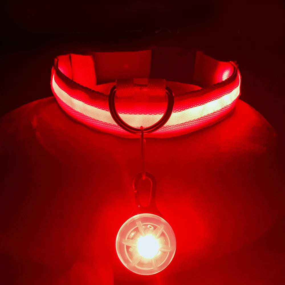 USB Glowing Dog Collar