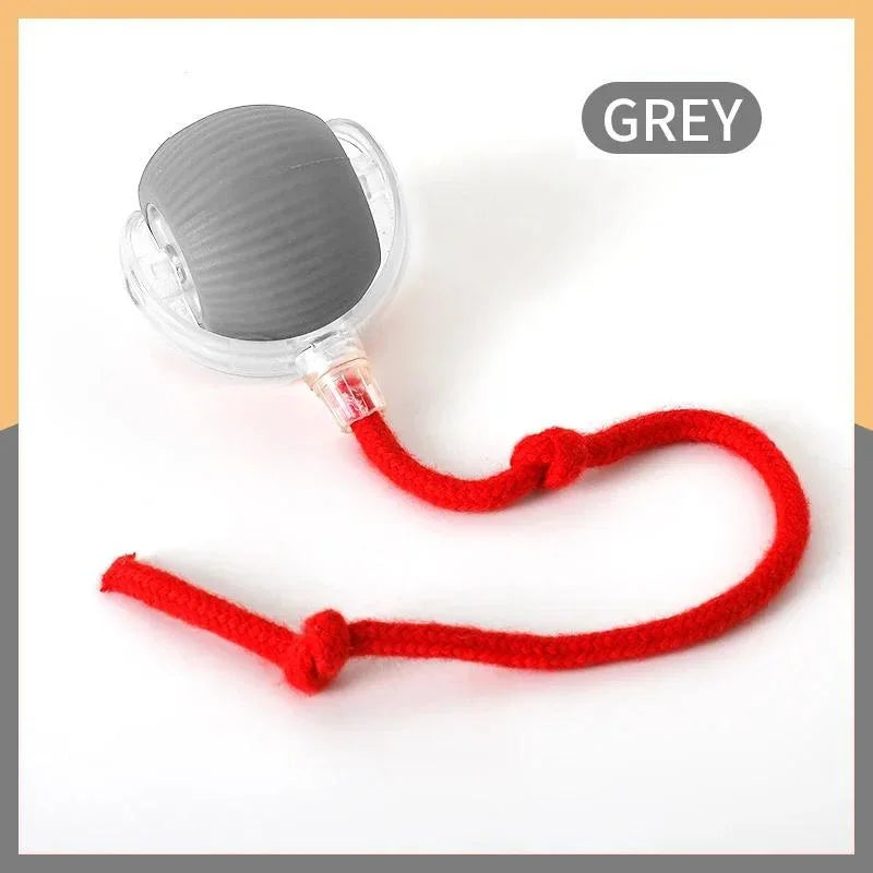Interactive Cat Rolling Ball Toy