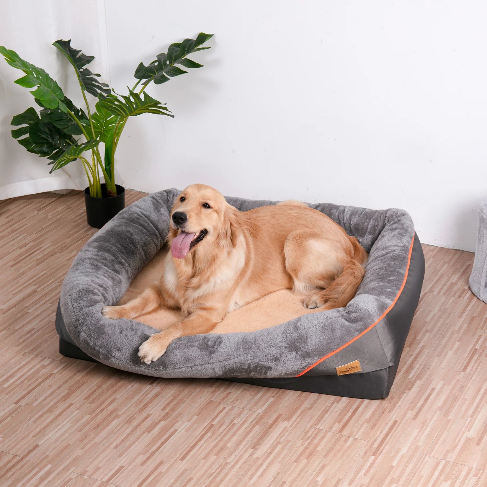 Orthopedic Foam Dog Bed