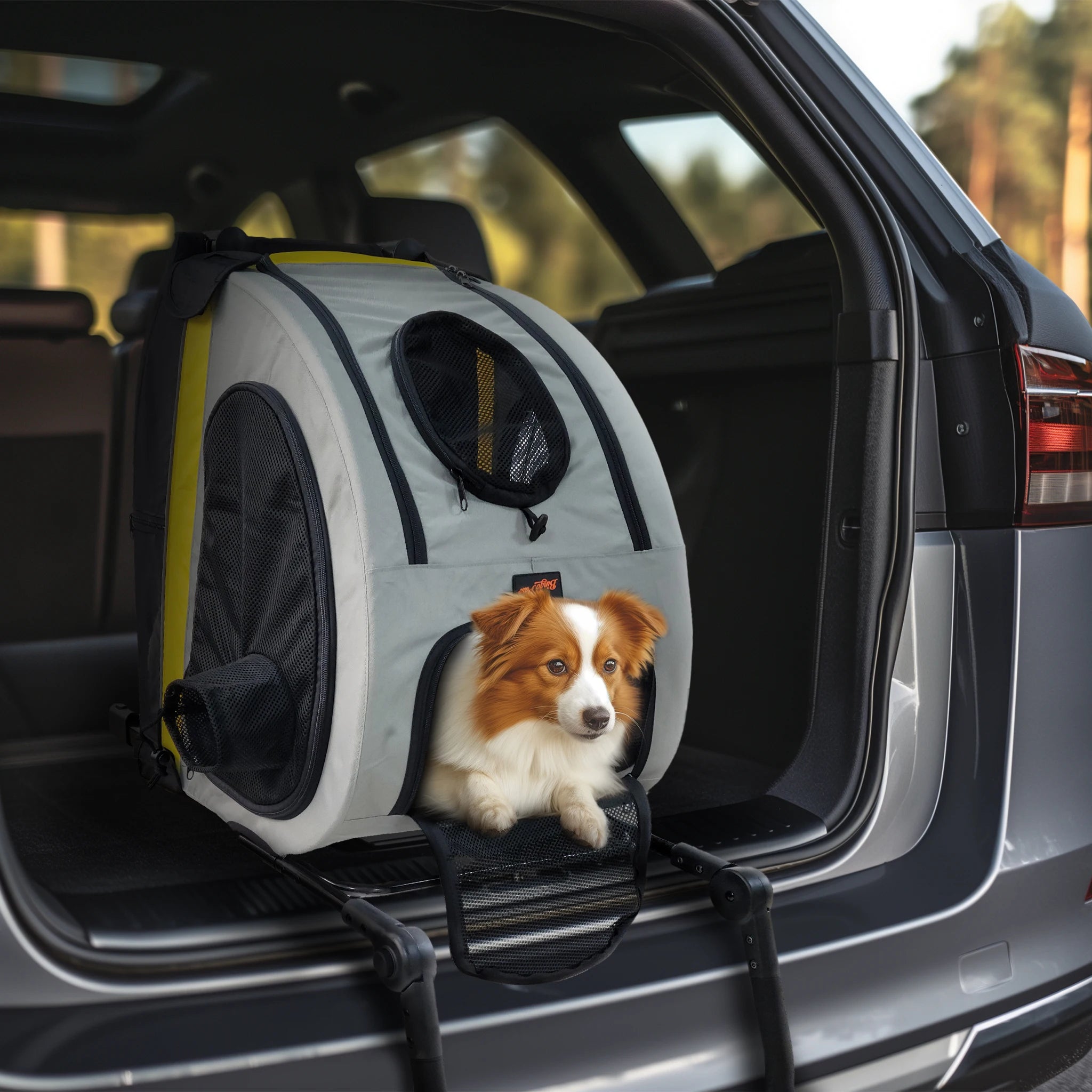 2-in-1 Dog Stroller Carrier