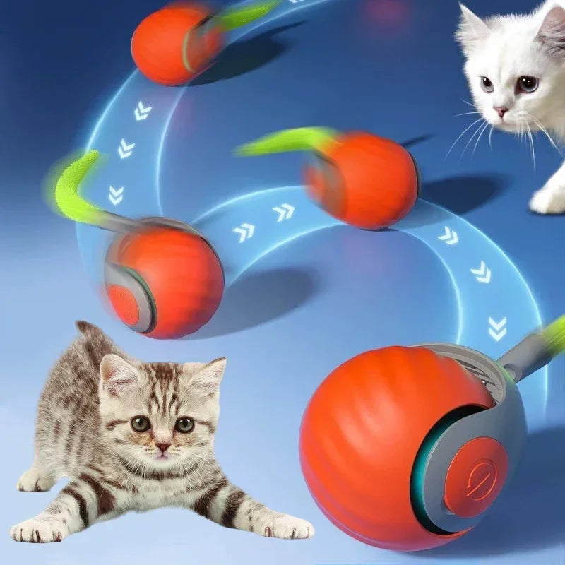 Smart Electric Cat Toy Ball with Feather Teaser
