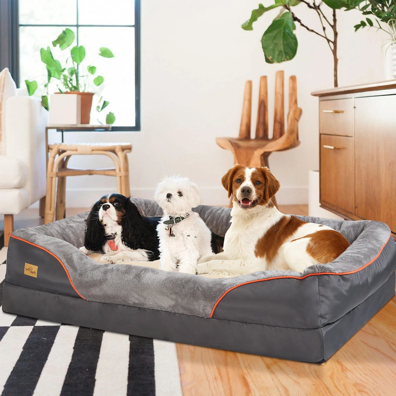 Orthopedic Foam Dog Bed