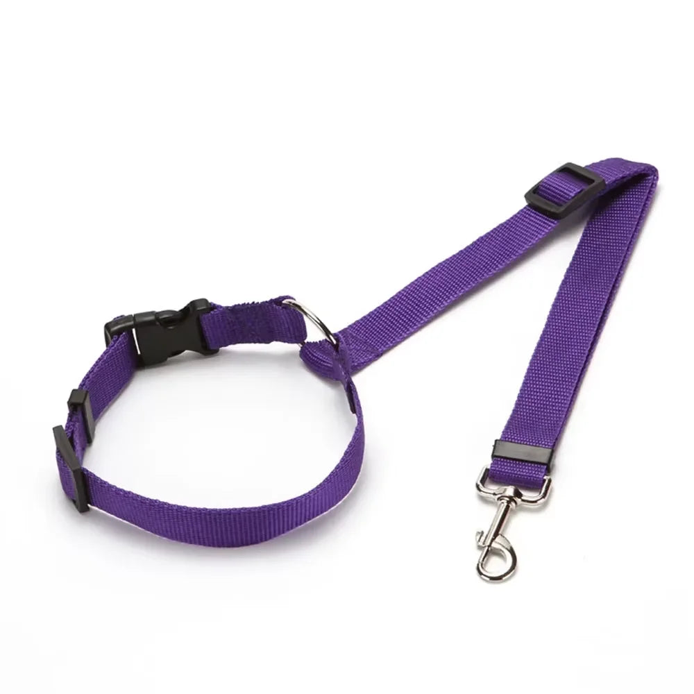 Two-in-One Solid Color Pet Car Seat Belt & Lead