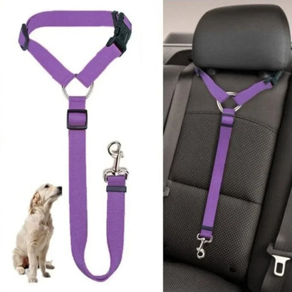 Two-in-One Solid Color Pet Car Seat Belt & Lead