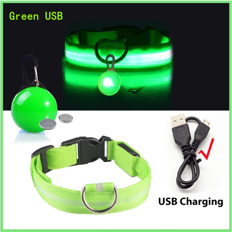 USB Glowing Dog Collar