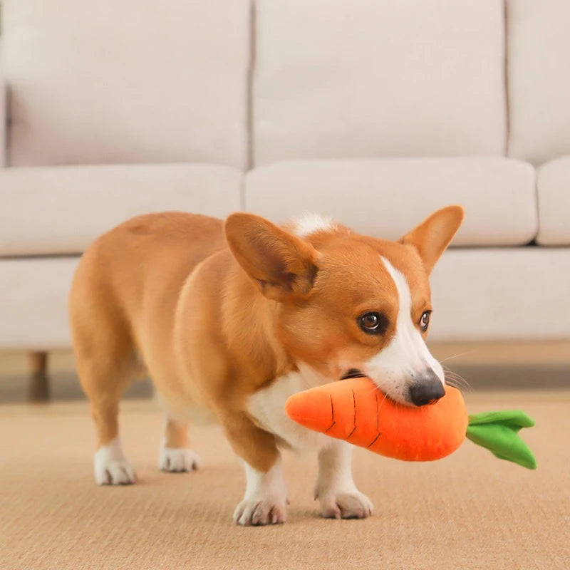 Dog Carrot Plush Chew Toy