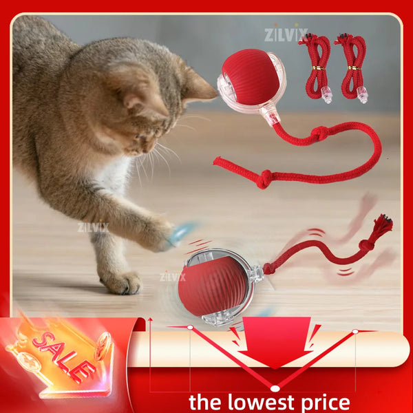 Interactive Cat Rolling Ball Toy