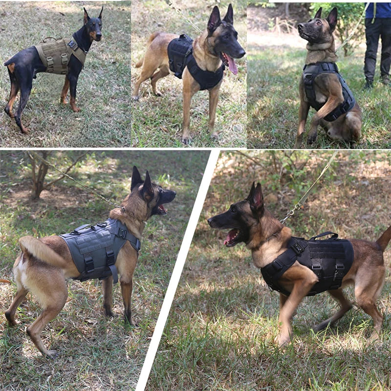 K9 Tactical Dog Harness Set