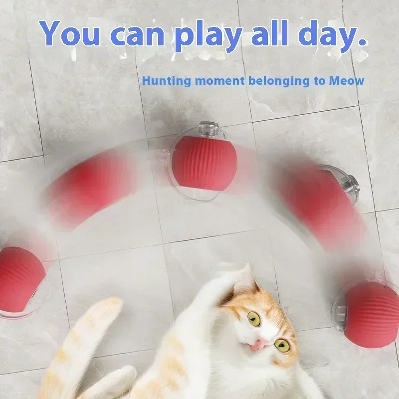 Interactive Cat Rolling Ball Toy
