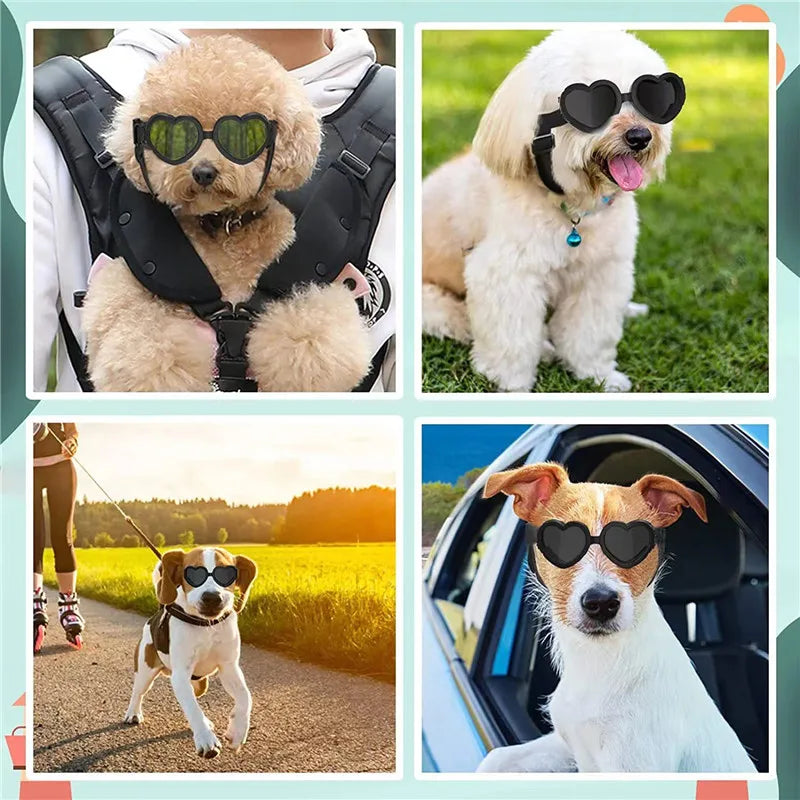 Heart-Shaped Dog Goggles | UV Protection