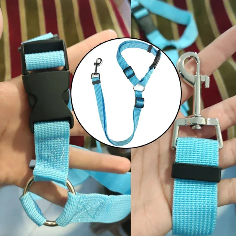 Two-in-One Solid Color Pet Car Seat Belt & Lead