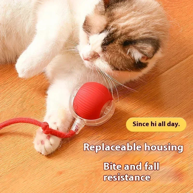 Interactive Cat Rolling Ball Toy
