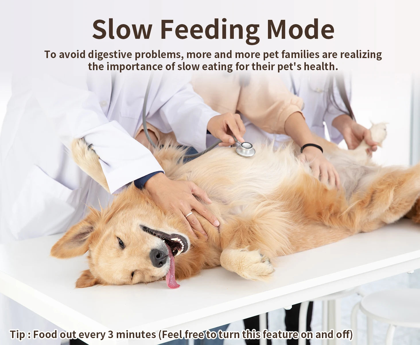 PAPIFEED Smart Automatic Cat Feeder