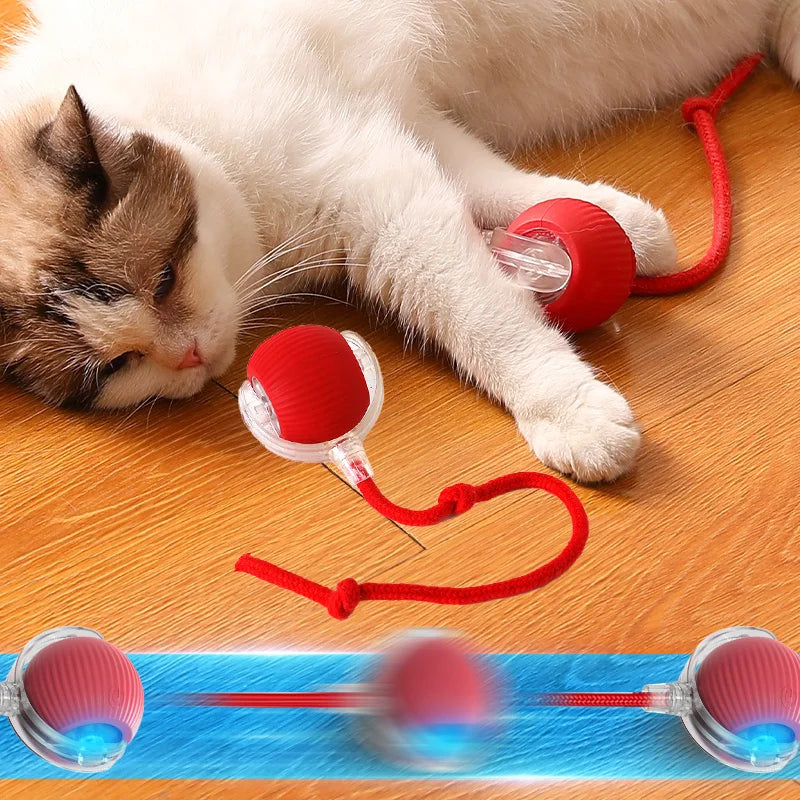 Interactive Cat Rolling Ball Toy